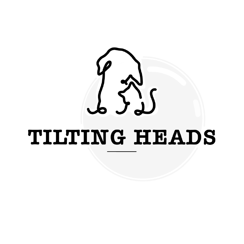 Tilting Heads logo